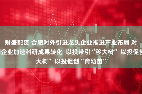财盛配资 合肥对外引进龙头企业推进产业布局 对内培育科创企业加速科研成果转化  以投带引“移大树” 以投促创“育幼苗”