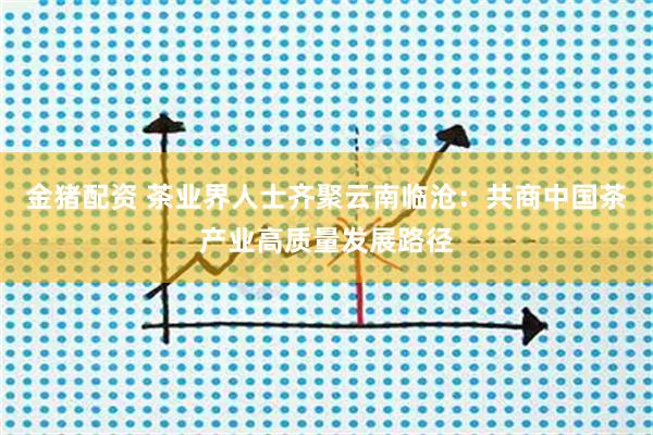金猪配资 茶业界人士齐聚云南临沧：共商中国茶产业高质量发展路径